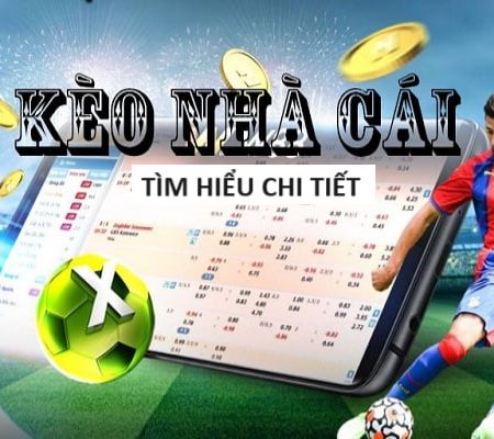 oxbet-Tận hưởng cảm giác tin cậy với trang cược xanh chín!